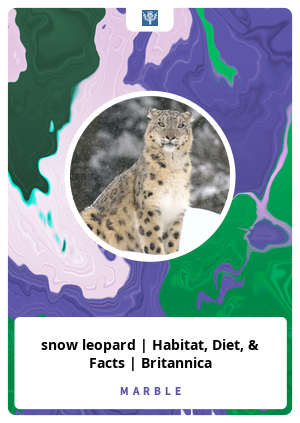 snow leopard, Habitat, Diet, & Facts