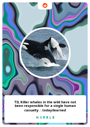 TIL Killer whales in the wild have not been responsible for a single human casualty. : todayilearned