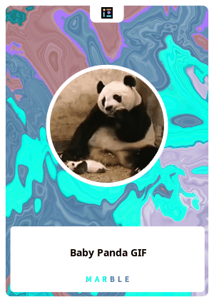 Baby Panda Gif Marble Card Marble Cards Info Baby Panda Gif Marble Card Marble Cards Info