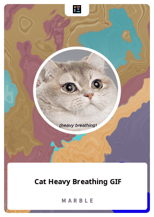 breathing cat gif