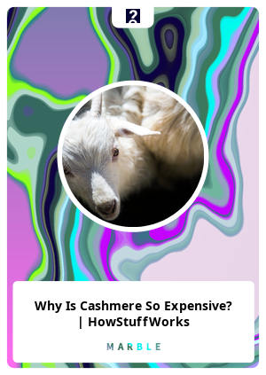 Why Is Cashmere So Expensive? | HowStuffWorks