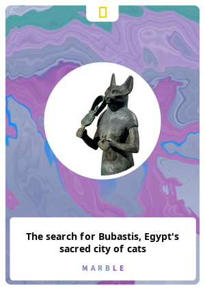 The search for Bubastis, Egypt's sacred city of cats