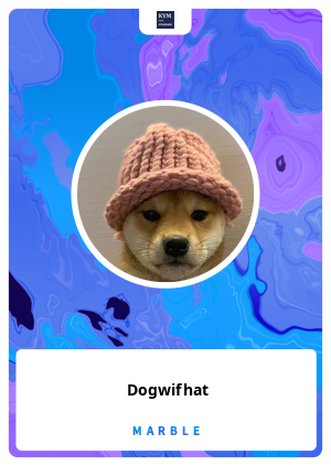 Dogwifhat  Know Your Meme