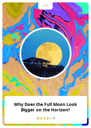 Why Does the Full Moon Look Bigger on the Horizon?