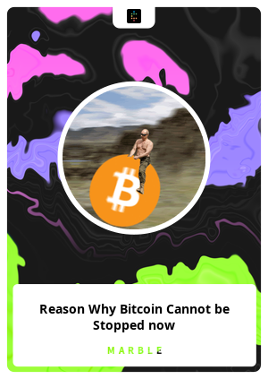 Reason Why Bitcoin Cannot be Stopped now