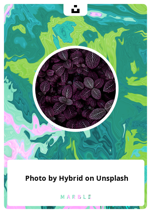 Nft Photo by Hybrid on Unsplash