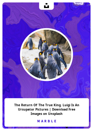 The Return Of The True King. Luigi Is An Ursupator Pictures | Download Free Images on Unsplash
