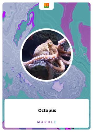 Octopus