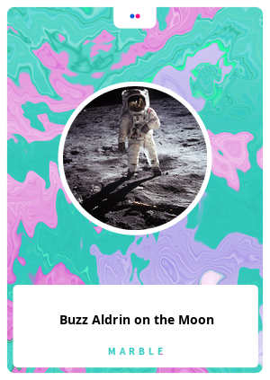 Buzz Aldrin on the Moon